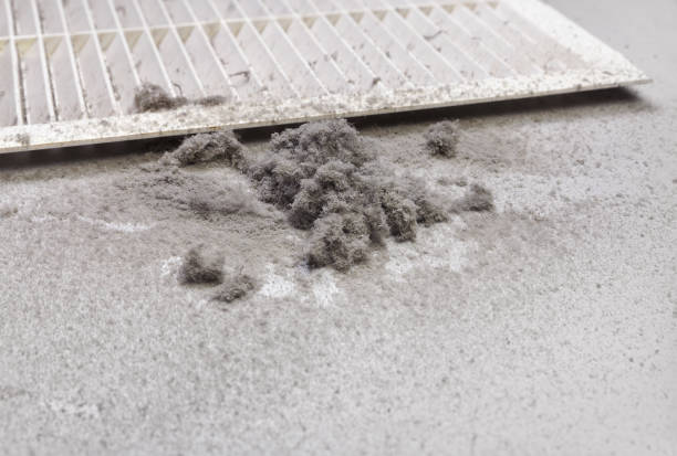 Best Affordable HVAC Duct Cleaning  in Bismarck, MO