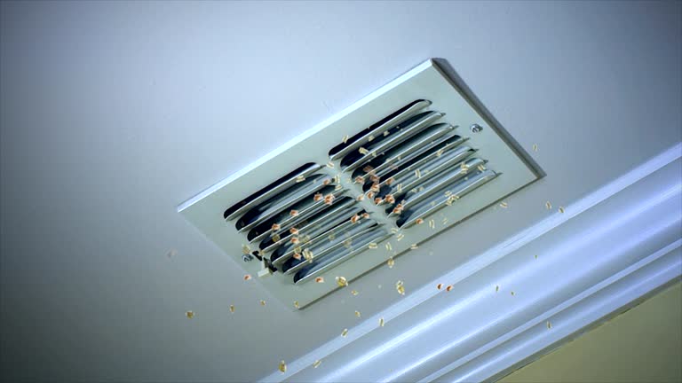 Best HVAC Duct Inspection Services  in Bismarck, MO